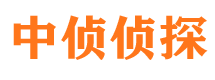 武川婚外情调查取证